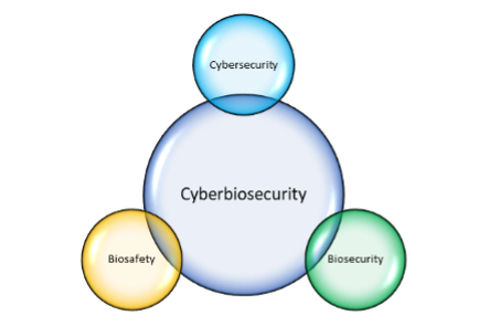Venn diagram showing the relationship between biosafety (yellow circle), cybersecurity (blue circle), biosecurity (green circle) all touching on connecting to a darker bigger cirlce with the word Cyberbiosecurity showing the interconnectivity.