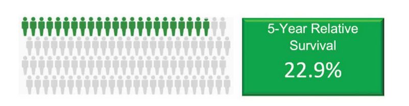 Graphic of 100 human figures shaded to indicate a five-year survival rate of 22.9%.
