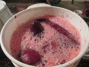 a 5-gallon bucket filled with foaming primary liquid