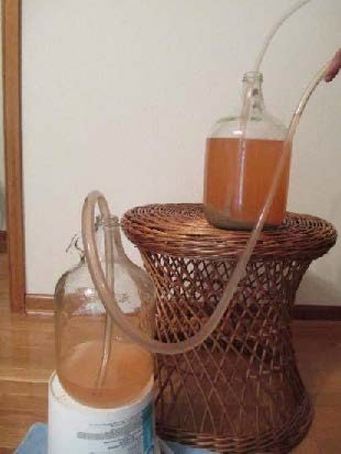 A close-up of a liquid being transferred between glass jugs with a hose.