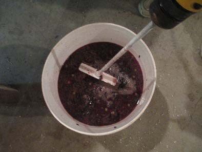 blueberries in a bucket being chopped