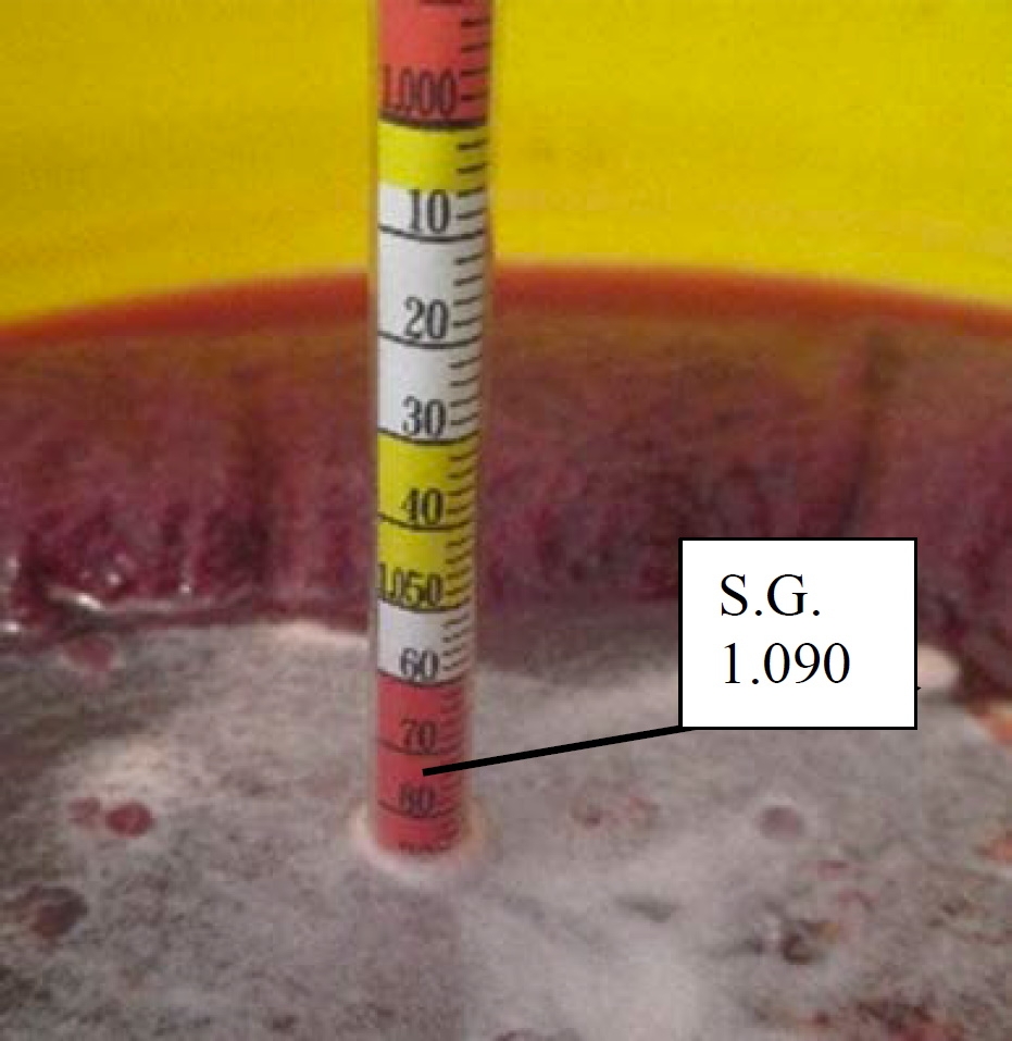 A closeup of a Hydrometer showing specific gravity at 1.090.