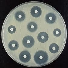 a disc image