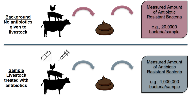 a diagram comparing samples are compared to a background value of antibiotics. 