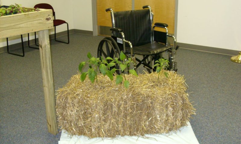 A hay bale with plants growing on the top.