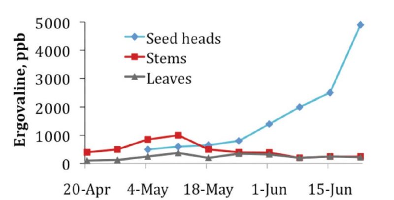 Development and maturation of seed heads speak to the need for good grazing and harvest management. Making a late first cutting of fescue hay both increases plant alkaloid concentrations and also substantially reduces forage nutritive value. Tall fescue in this figure was fertilized with 60 pounds of nitrogen per acre.
