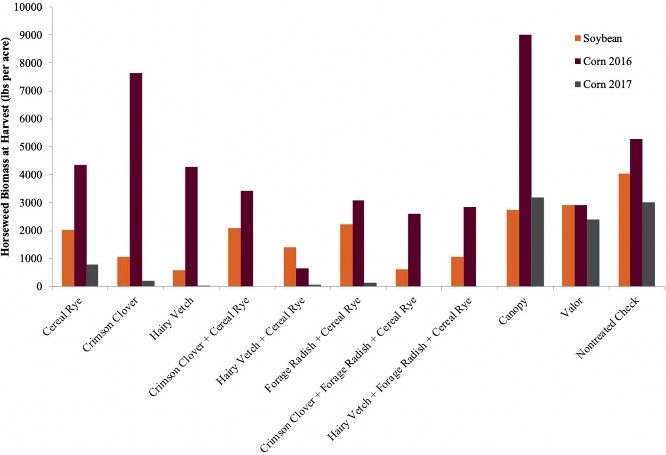 Bar graph depicting horseweed biomass weights in soybeans, in corn (2016), and corn (2017) resulting from eight different cover crop treatments, two herbicide treatments, and the nontreated check. In the 2017 corn crop, three treatments resulted in zero biomass: crimson clover plus cereal rye; crimson clover, forage radish and cereal rye; and hairy vetch, forage radish and cereal rye. 