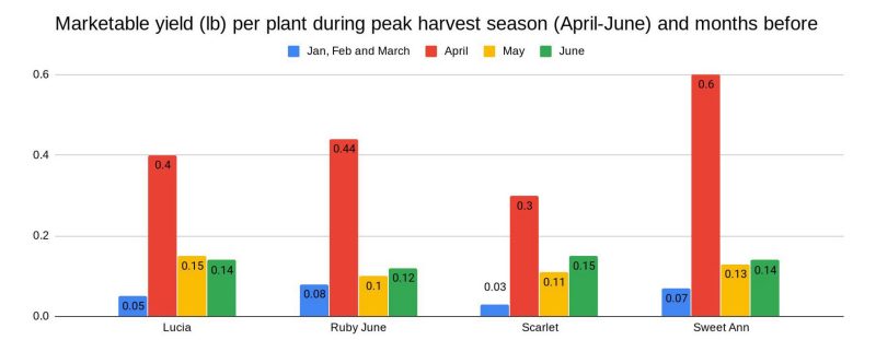 A bar chart shows the yield for four time frames (January through March, April, May, and June) for the four strawberry varieties studied.