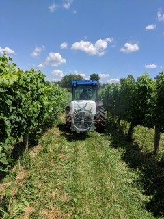 Cover for publication: Vineyard canopy sprayer calibration worksheet