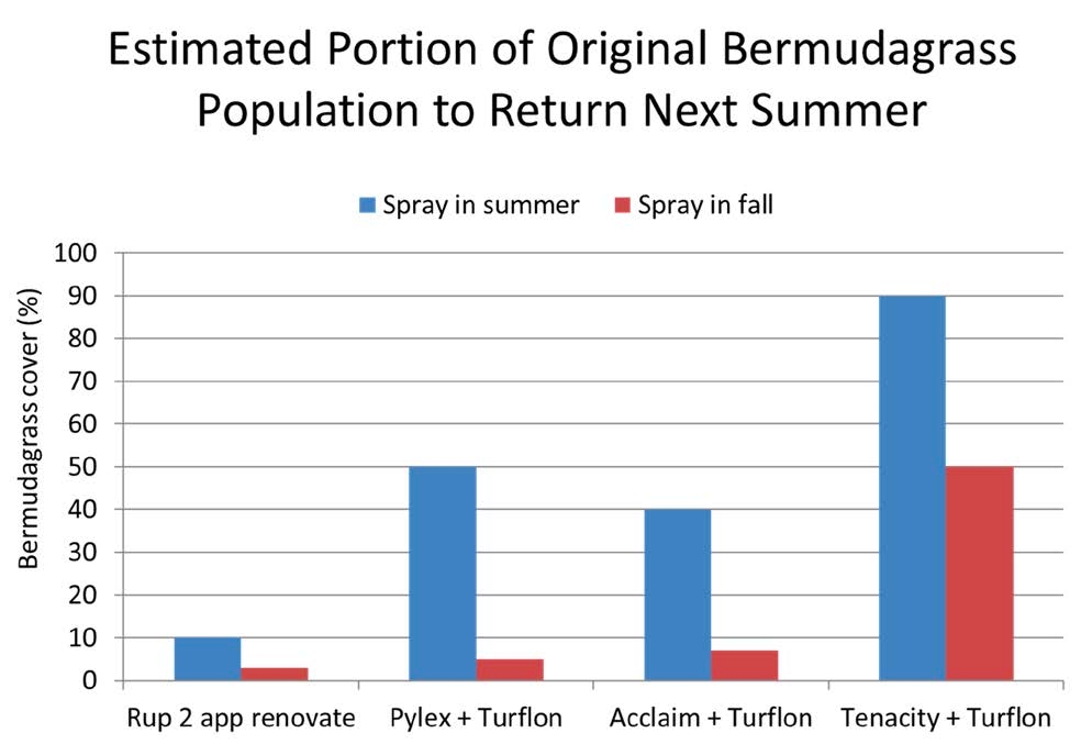 Late summer/early fall selective wiregrass control programs are superior to spring/mid-summer control programs.