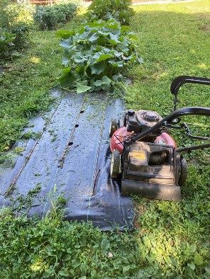 Photo 2.  A mower extends over the edge of a woven poly raised bed completely cutting the vegetation along the edge