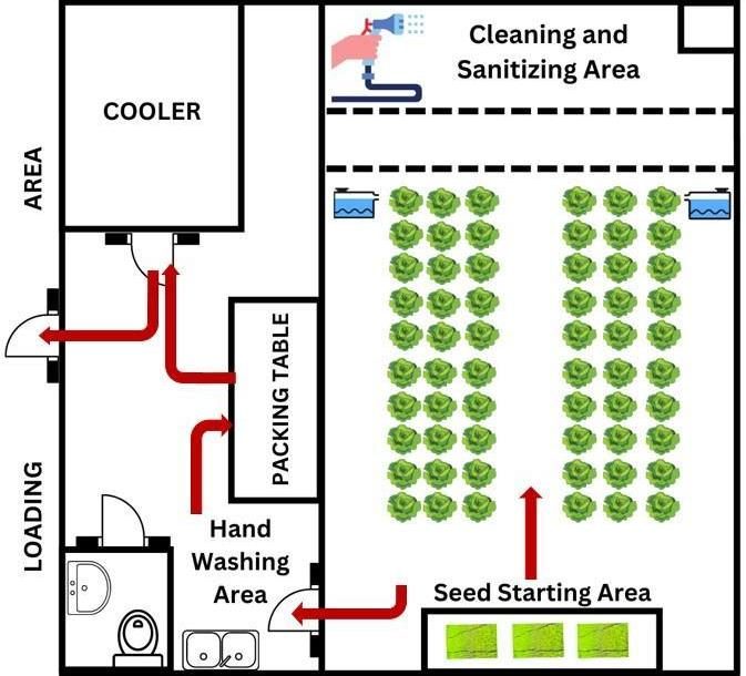 Figure 1. Diagram floor plan showing growing area with seed starting table, cleaning and sanitizing space, as well as separate main headhouse with packing table, cooler, handwashing station, and restroom, along with adjacent loading area.