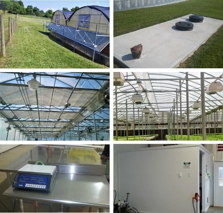 Figure 2. Series of images including: outside of greenhouse with grassy area (top left); encased well pad (top right); framing supports with lights (middle images); stainless steel tables in packing area (bottom left); and restroom facility in headhouse area (bottom right).
