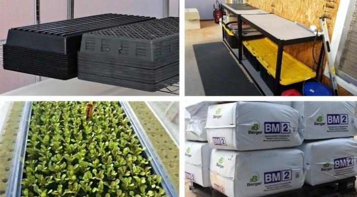 Figure 3. Series of photos including: stacked cleaned and sanitized planting trays (top left); seed starting tables (top right); seeding tray with germinated seedlings (bottom left); and stacked bags of growing substrate (bottom right).
