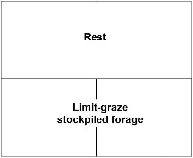 Text box showing rest over two small boxes of text that says limit-graze stockpiled forage.