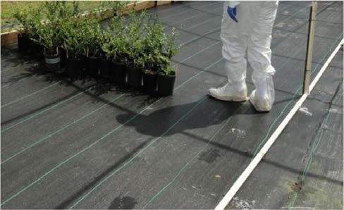 Figure 3, A person in a protective suit standing on a black easy-to-clean surface beside a row of potted plants.