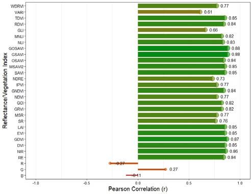 Accuracy of drone imagery-derived vegetation indices and reflectance features to estimate corn grain yield