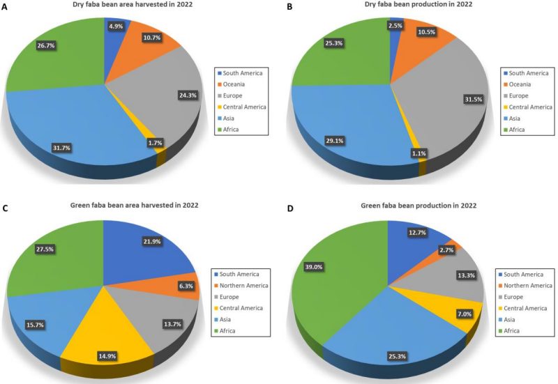Figure 2. Pie charts showing regional contribution (%) to dry and green faba bean area harvested and production in 2022. The pie charts were generated from crops and livestock statistical data available on the website of Food and Agriculture Organization.