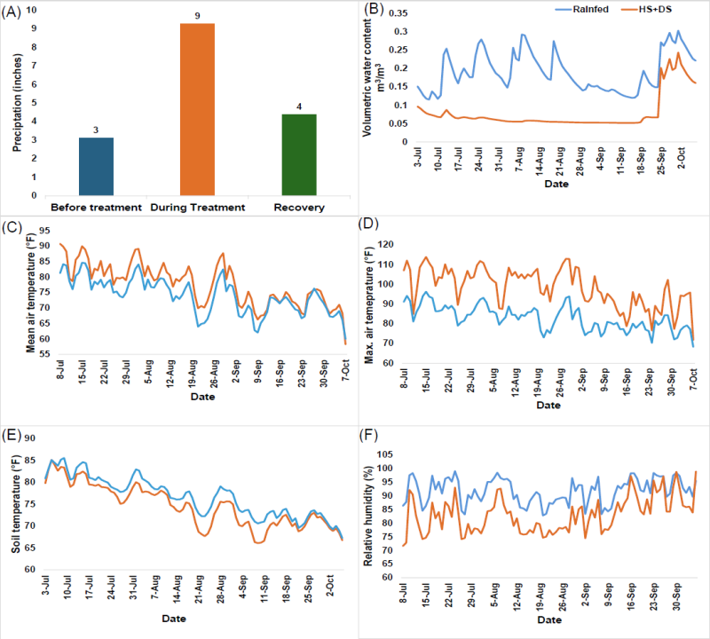 Figure 2. Weather data including precipitation (A), soil volumetric water content monitored at ~7-inch depth (B), mean air temperature (C), maximum air temperature (D), soil temperature (E), and relative humidity (F).‌