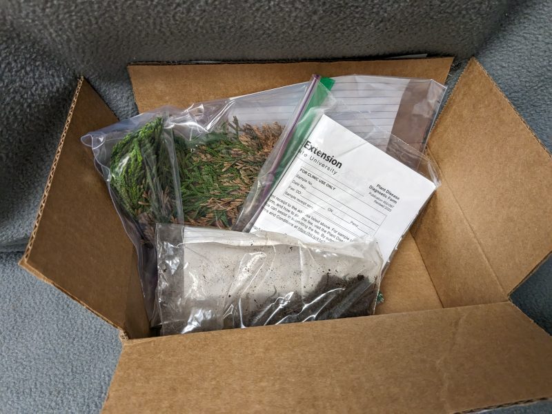 Example of a sample ready for shipping. Include samples enclosed in bags, a completed submission form, and add packing material (packing paper/newspaper, packing peanuts, bubble wrap, or any clean packing materials you may have handy)