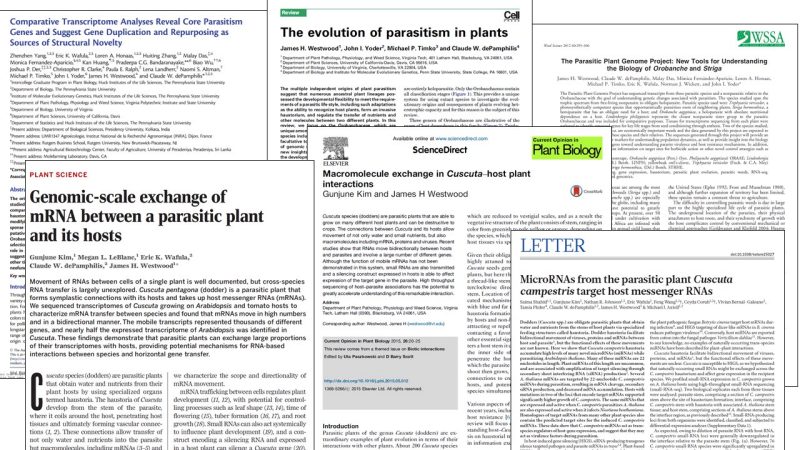 Montage of publication front pages