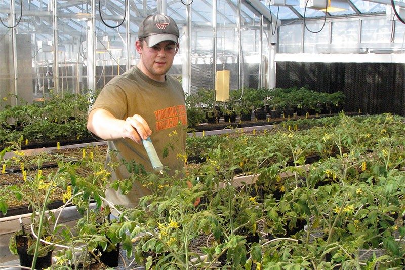 Greenhouses at Virginia Tech