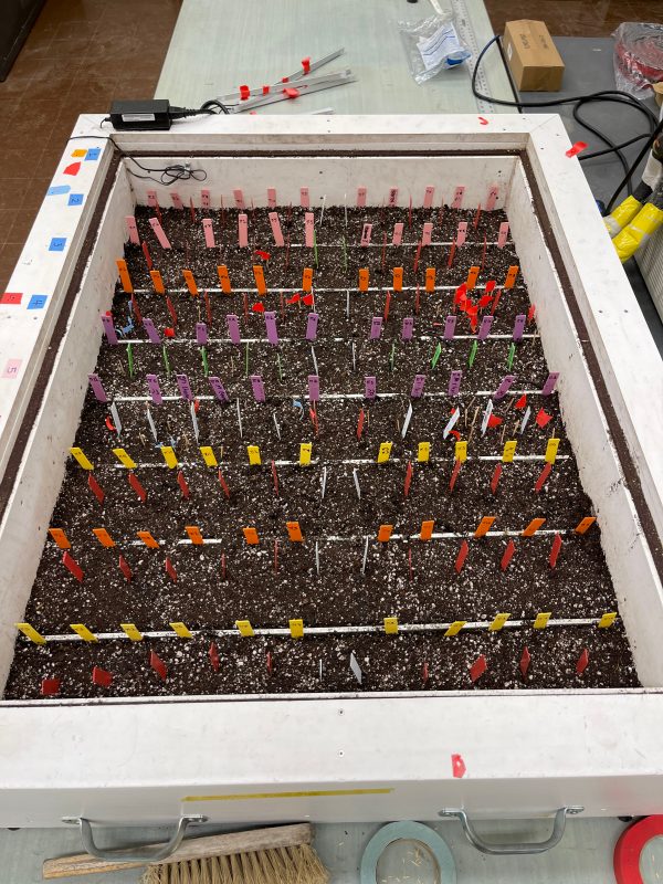 lab field table