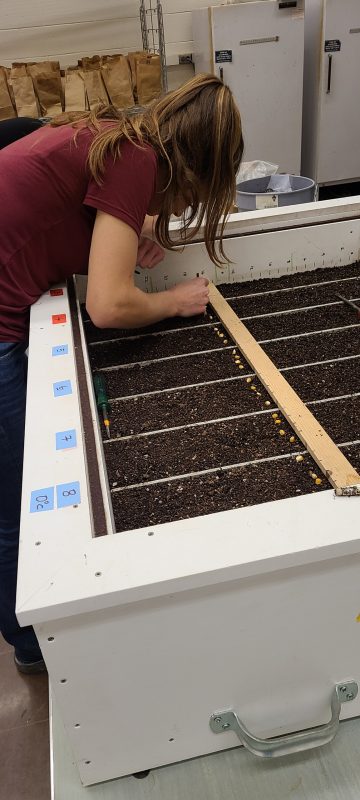 lab field table
