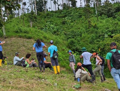 Ecological Restoration students on a hillside