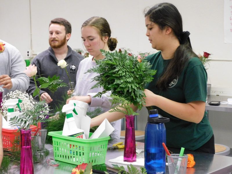 Students in the Horticulture Club make bouquets for the annual Valentine's Day Rose Sale.