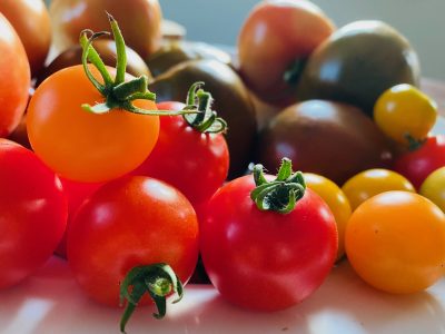 Virginia Tech researchers study flavor, shelf life of Virginia cherry tomatoes